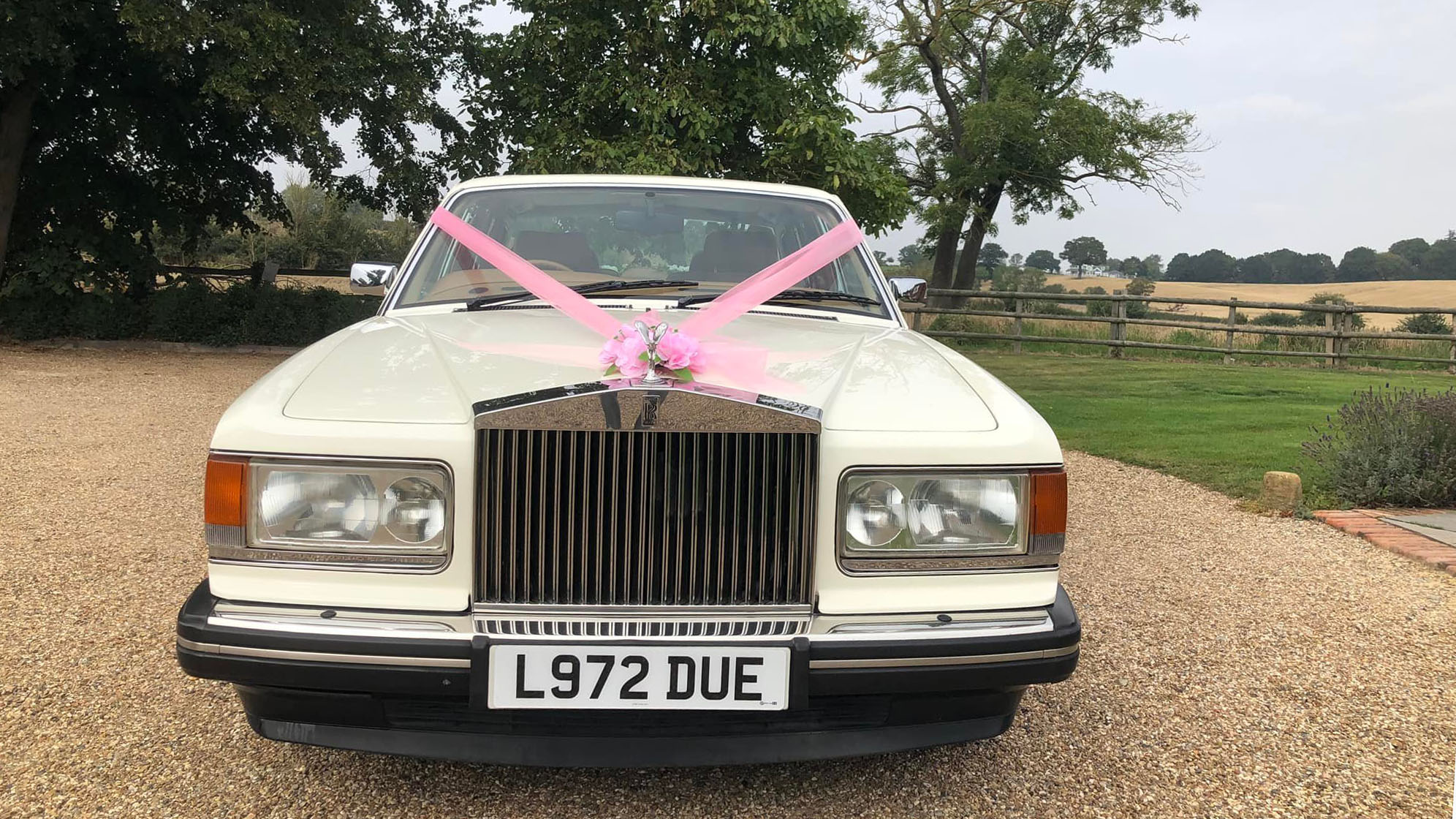 front view of classic Rolls-Royce Silver Spirit with large chrome grill and pink ribbons