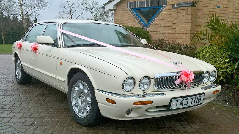 White Jaguar with pink ribbons and bows