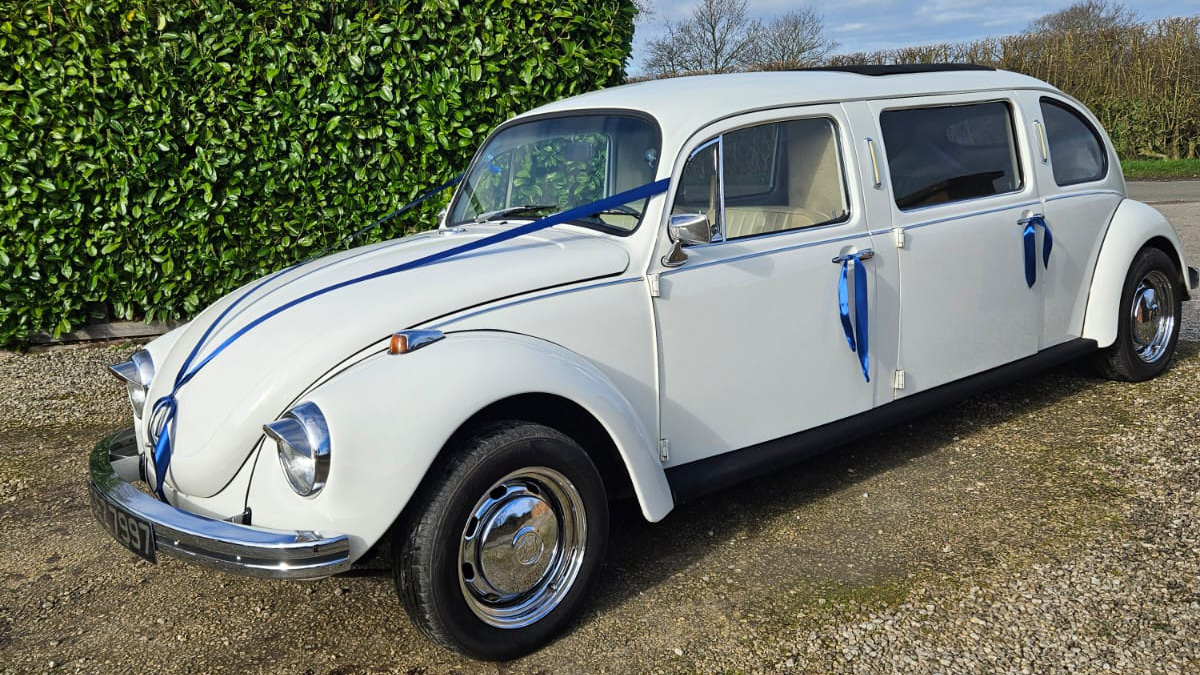 Left side view of a stretched classic Beetle Limousine with Royal Blue Ribbons and Bows on door handles