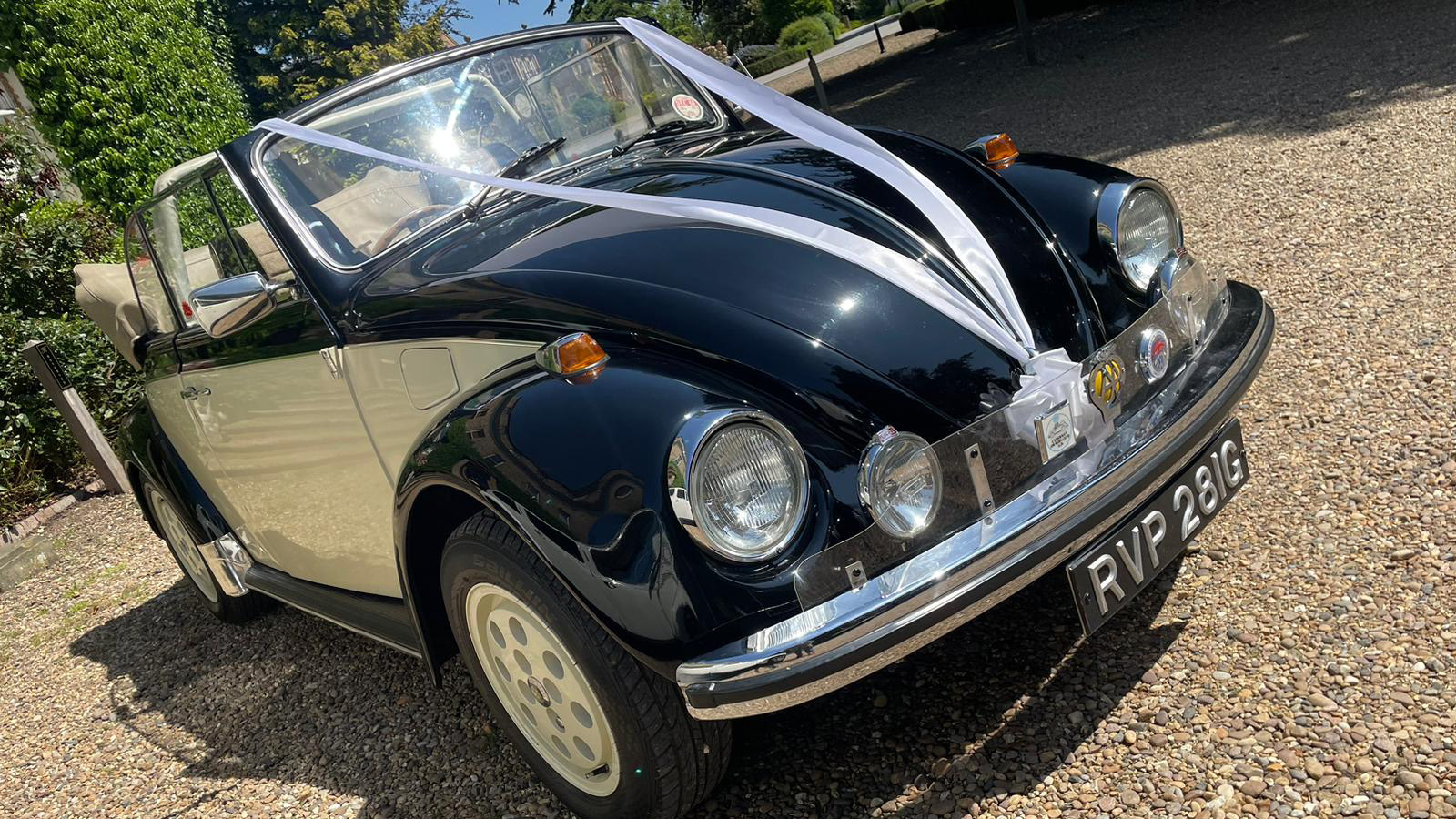 Light purple ribbons on a classic Black & Ivory Classic Beetle.