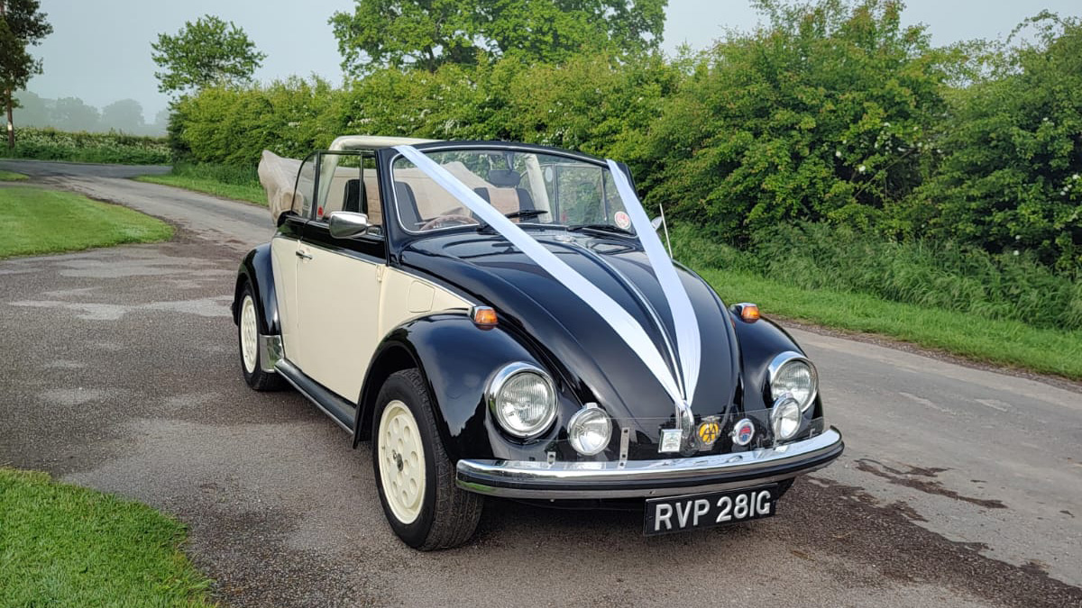 Classic Beetle in Ivory and Black with convertible roof open and dressed with White ribbons accros its black bonnet.