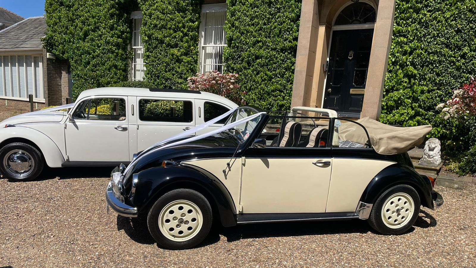 Left view of two Classic vw beetle parked in front of a wedding venue in York