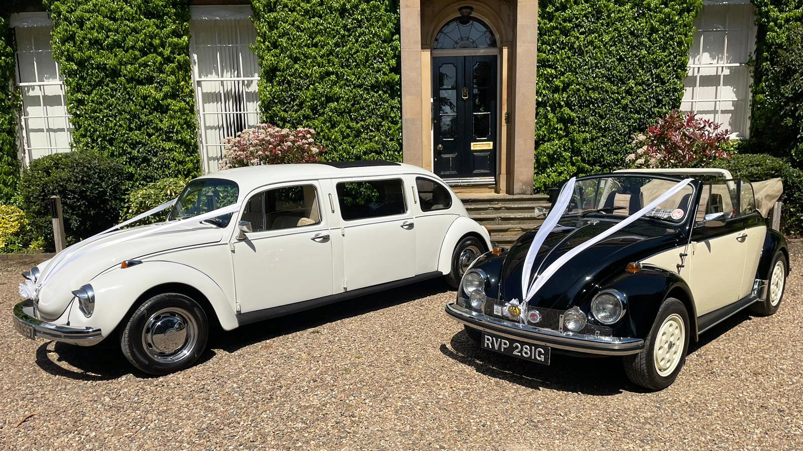 Two Classic VW Beetles decorated with matching pair of white wedding ribbons. Vehicle on the left is in a stretched Beetle in White and the other is a Black & Cream convertible Beetle