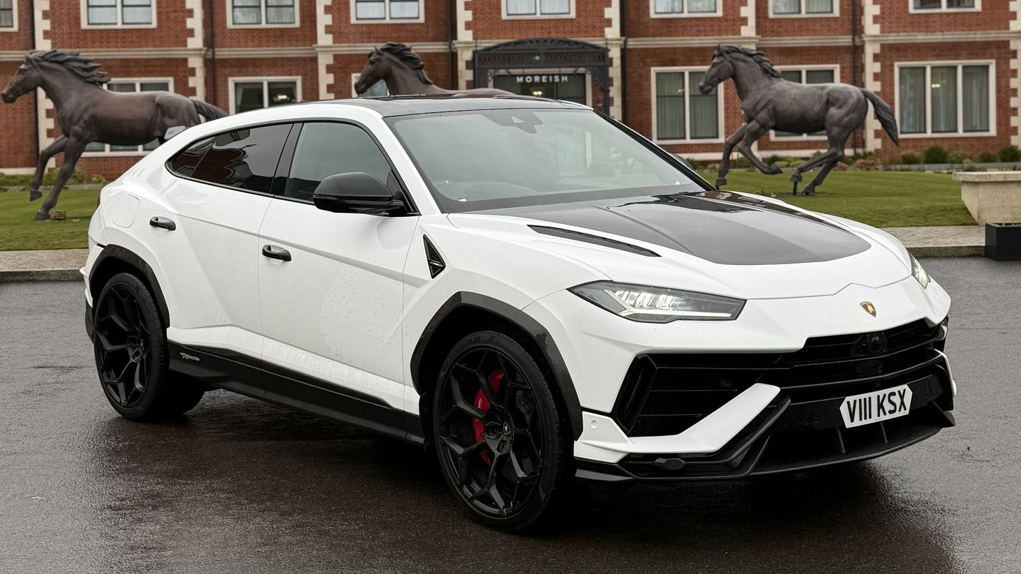 Lamborghini Urus in White with Black Bonnet and black alloy wheels