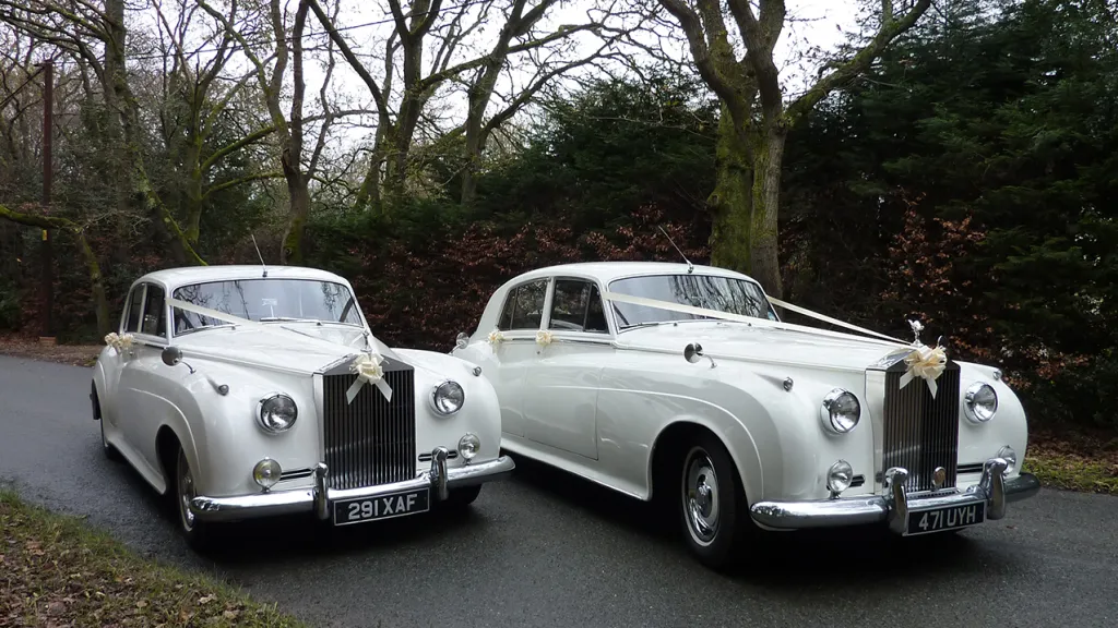 Two White Classic Rolls-Royce Wedding Car with an autumn background